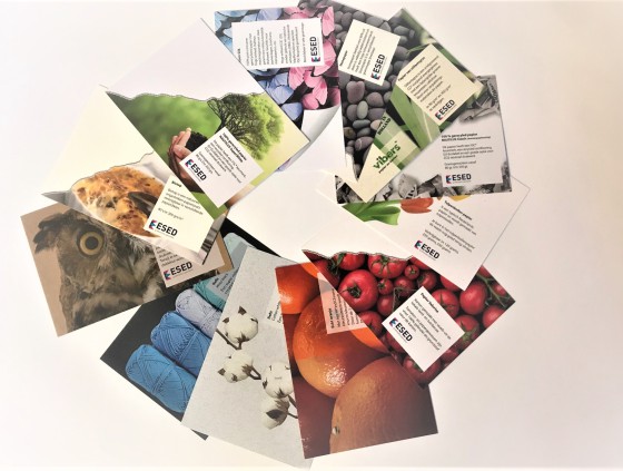 DE BASIS VOOR VERANTWOORD DRUKWERK DE BASIS VOOR VERANTWOORD DRUKWERK